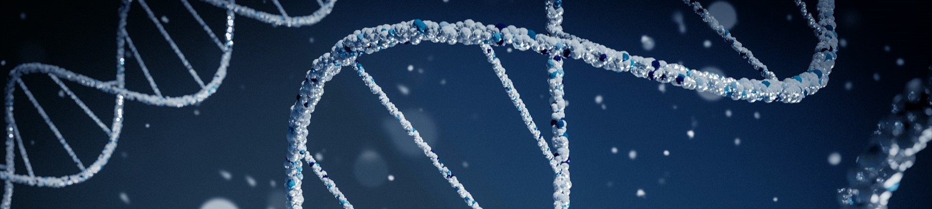 CREACIÓN VS EVOLUCIÓN