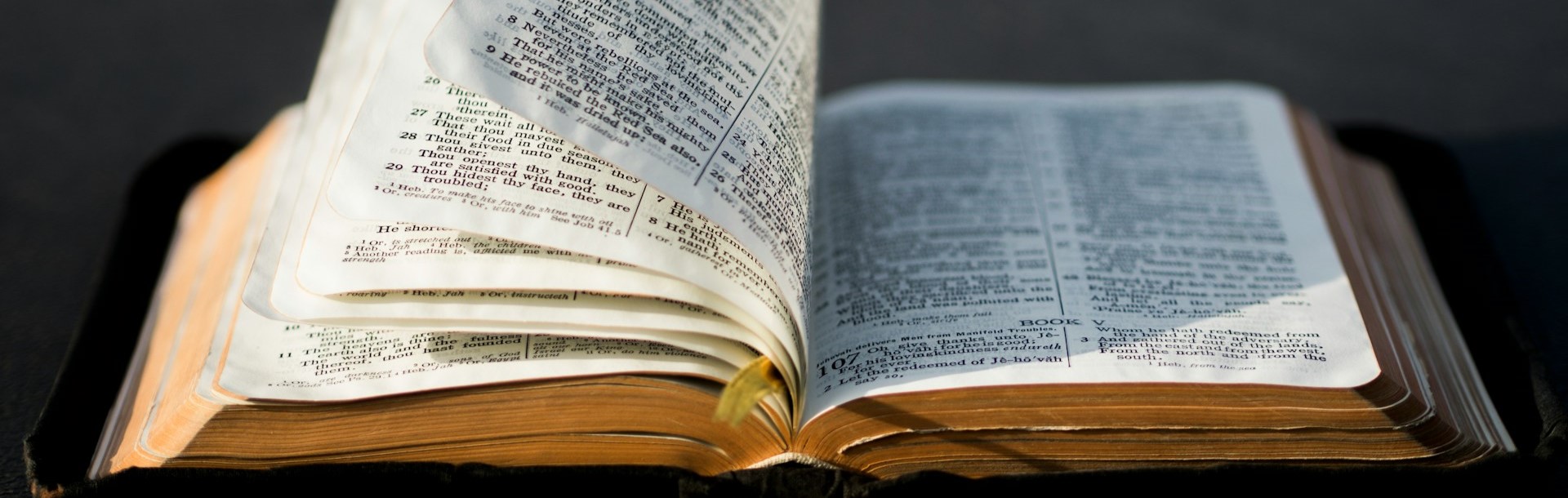 HERMENÉUTICA – TEXTOS FUERA DE CONTEXTO