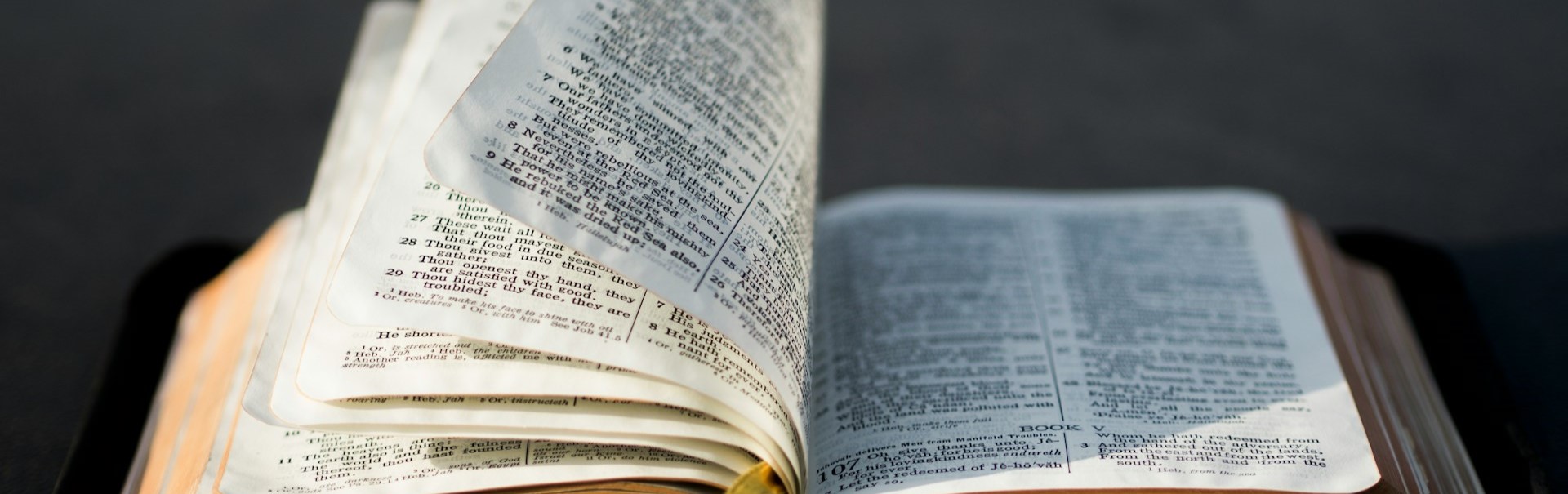 HERMENÉUTICA BÍBLICA AVANZADA – ORIGEN, CONTEXTO E INTERPRETACIÓN FIEL