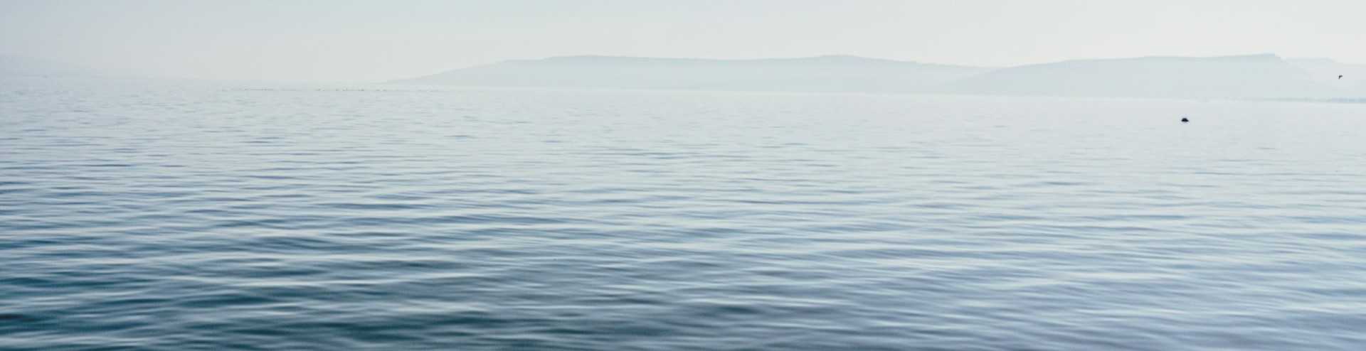 LOS MILAGROS DE JESUS