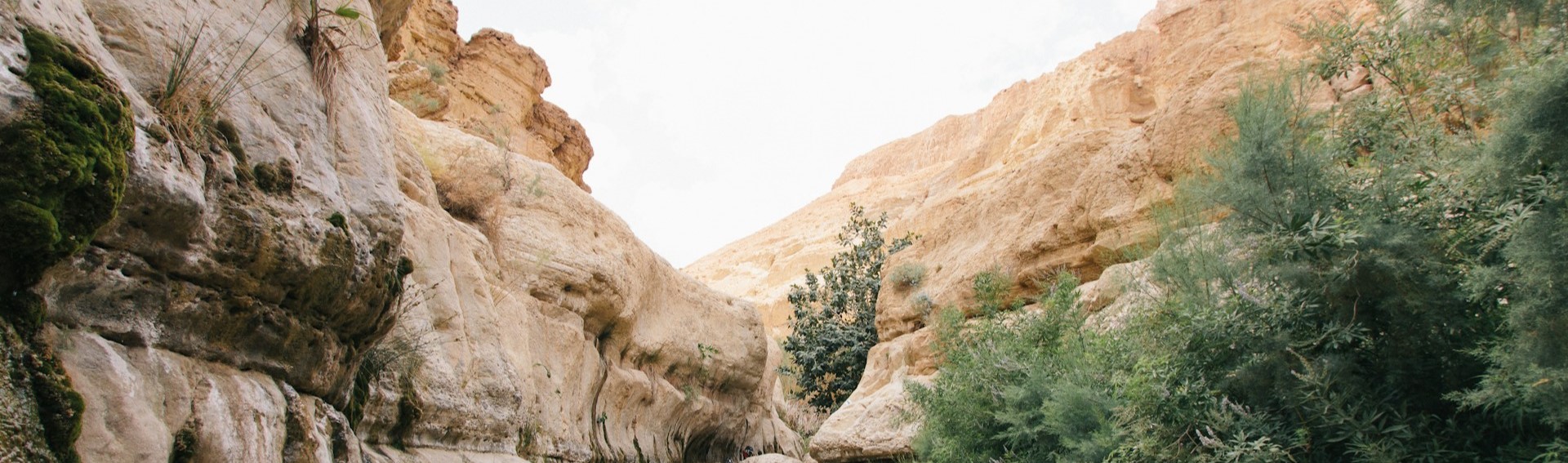 EL SERMÓN DEL MONTE